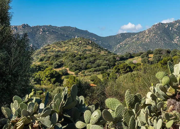Hébergement de vacances Campulongu Villasimius